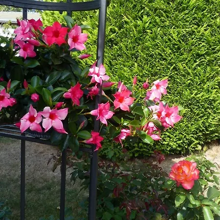 Ferien Melcher Appartement *