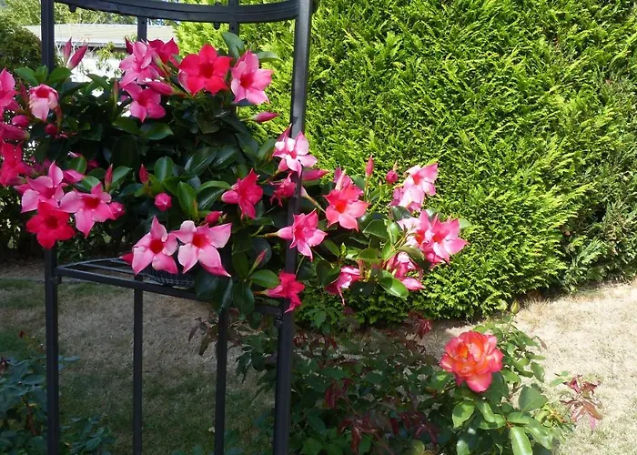 Ferien Melcher דירה *